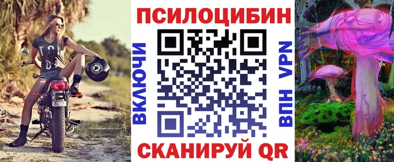 OMG сайт  Новосибирск  Псилоцибиновые грибы Psilocybine cubensis  дарнет шоп 